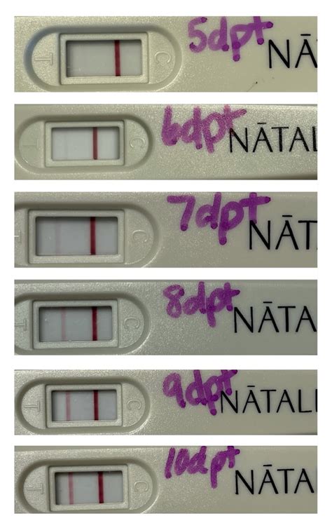 soft drinks interfere with preg tests|alcohol and pregnancy test results.